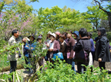 英国雑貨 GARDEN　イベント／株式会社ケイ・エイ