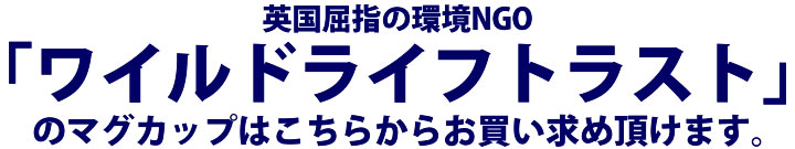 ルドゥーテ・ローズ　ティーアイテム