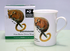 ワイルドライフトラスト Mike Langman　DORMOUSE　マグカップ　ヤマネ