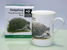 ワイルドライフトラスト Mike Langman　HEDGEHOG　マグカップ　ハリネズミ